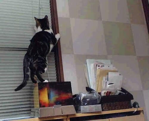 中国女排新人亮相热身赛展现活力,中国女排新主帅最新进展