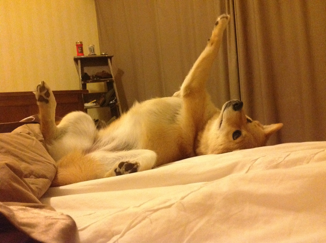 中国女篮全队积极备战国际比赛，中国女篮虽败犹荣