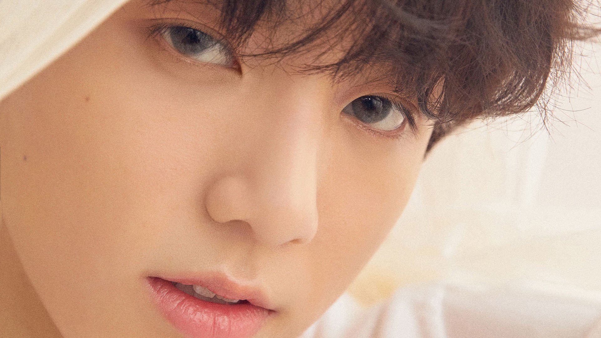 冲刺段划水频率变化规律，划水次数的名词解释