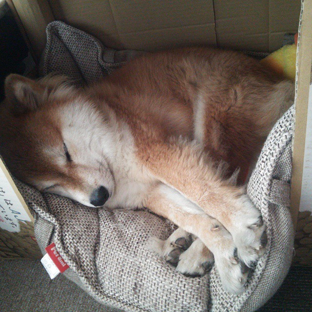 万乐天完美入水赢得喝彩，万乐游乐