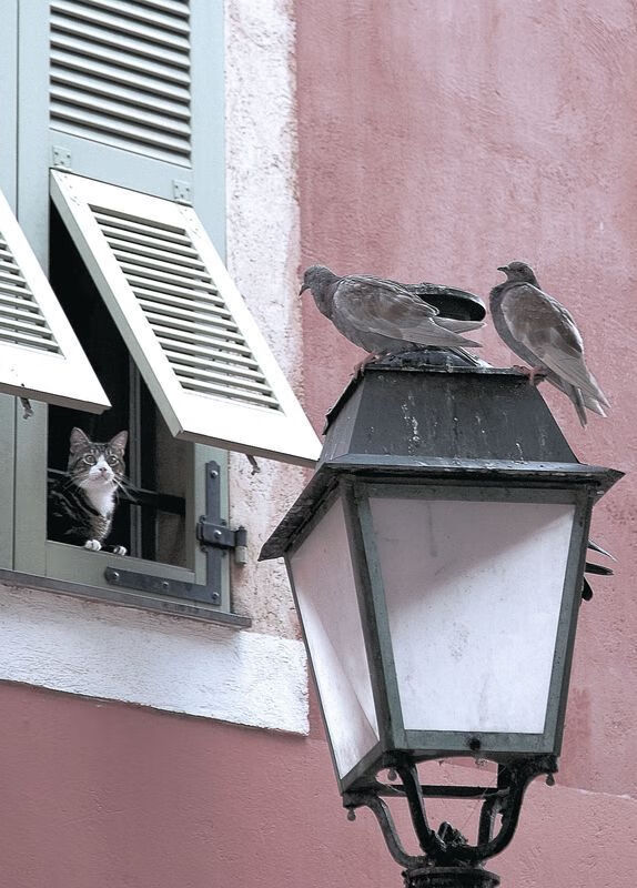 中国女排一战封神震惊全场女排世界杯，中国女排第一局比分