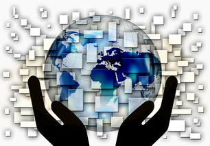 九游娱乐入口-国家滑板协会公布全国青少年排名更新机制，国家滑板队训练中心